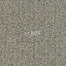 Ковровая плитка Modulyss Millennium Nxtgen Millennium Nxtgen 102 фото 1 | FLOORDEALER